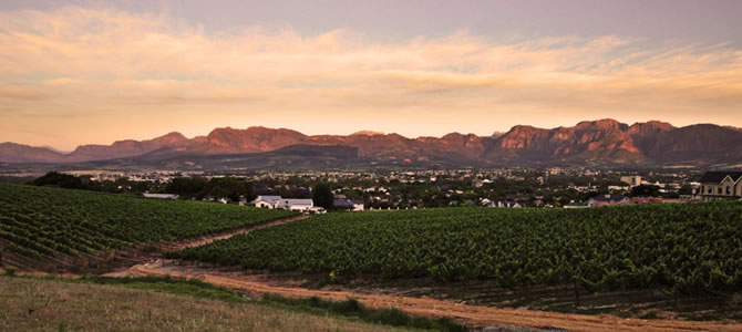 Le Joubert